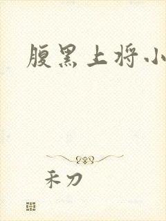 腹黑上将小小妻