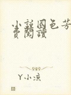 小说国色芳华免费阅读