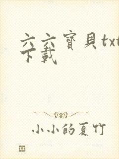 六六宝贝txt下载