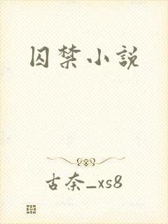 囚禁小说