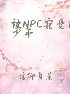 被NPC宠爱的少年