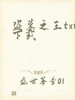 盗墓之王txt下载