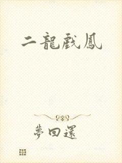 二龙戏凤