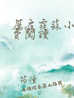 厉夜霆苏小汐免费阅读