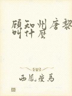 顾知州唐黎书名叫什么