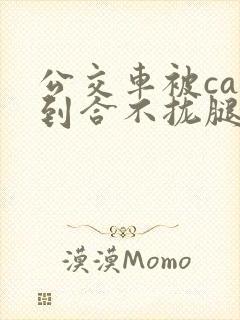 公交车被cao到合不拢腿视频