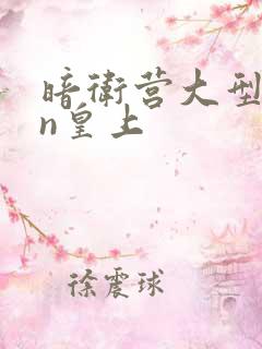 暗卫营大型hpn皇上