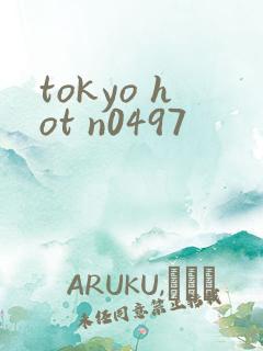 tokyo hot n0497