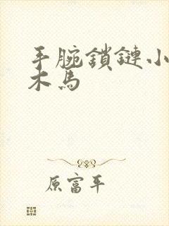 手腕锁链小黑屋木马