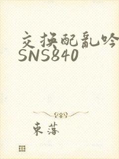 交换配乱吟粗大SNS840