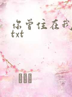 你曾住在我心上txt