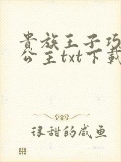 贵族王子巧遇穷公主txt下载