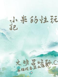 小米的性玩具日记