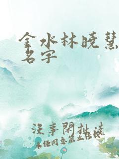 金水林晓慧小说名字