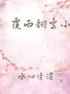 覆雨翻云小说