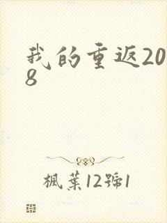 我的重返2008