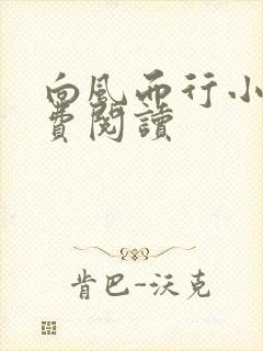 向风而行小说免费阅读