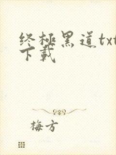 终极黑道txt下载