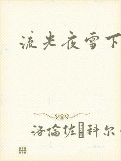 流光夜雪下载
