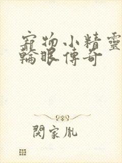 宠物小精灵之写轮眼传奇