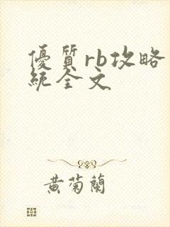 优质rb攻略系统全文