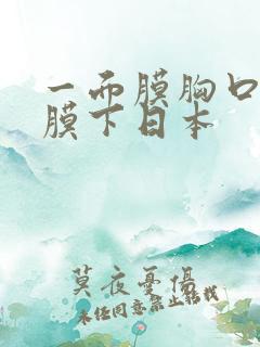 一面膜胸口一面膜下日本