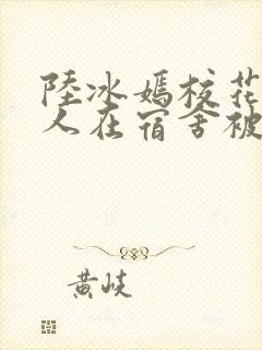 陆冰嫣校花被工人在宿舍被强