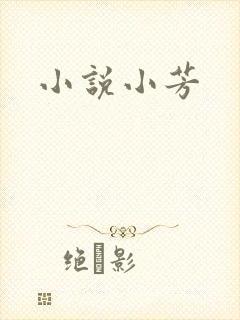 小说小芳