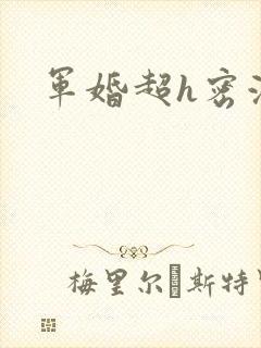 军婚超h密液