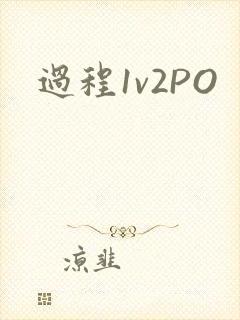 过程1v2PO