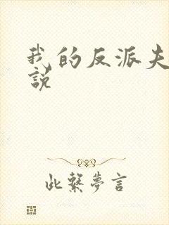 我的反派夫君小说