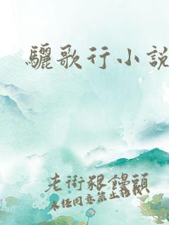 骊歌行小说