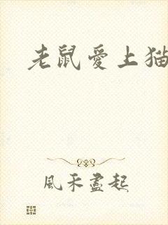老鼠爱上猫下载