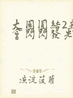 大团圆结2亲情会闪闪发光亲情会2