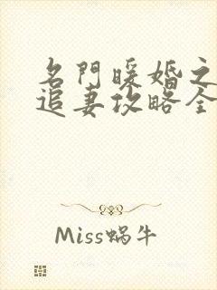 名门暖婚之权爷追妻攻略全文免费阅读