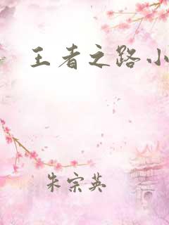 王者之路小说