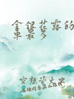 金银花露的哪个车最多