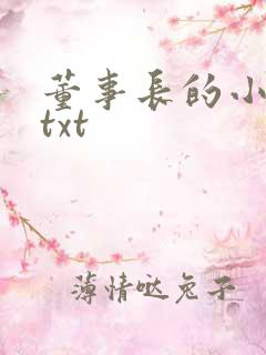 董事长的小王爷txt