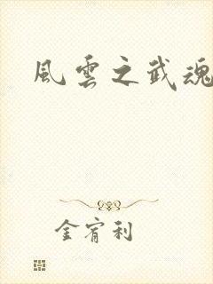 风云之武魂