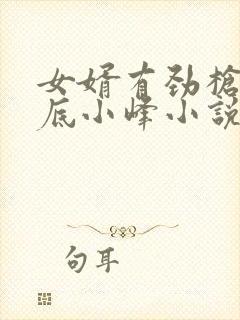 女婿有劲枪枪到底小峰小说