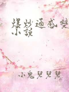 爆炒通感双胞胎小说