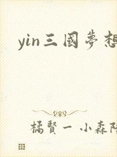 yin三国梦想