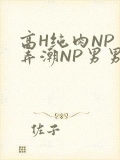 高H纯肉NP 弄潮NP男男