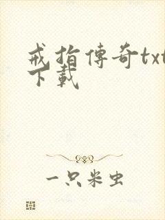 戒指传奇txt下载