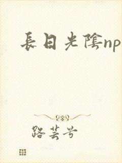 长日光阴np