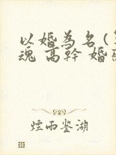 以婚为名 (军魂 高干 婚恋)