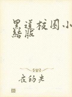 黑道校园小说完结版