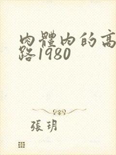 肉体内的高速公路1980