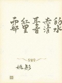 面红耳赤的小说哪里看清水村花