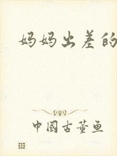 妈妈出差的夏天